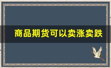商品期货可以卖涨卖跌(商品期货一手一览表)_https://www.huakunhengjia.com_期货资讯_第1张