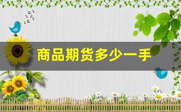 商品期货多少一手(商品期货多少钱一手)_https://www.fzdzcxj.com_上交所_第1张