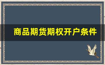商品期货期权开户条件(商品期权开通条件)_https://www.gfdzclz.com_深交所_第1张