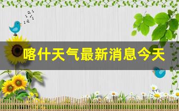 喀什天气最新消息今天_喀什天气情况