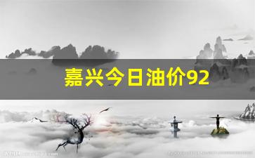 嘉兴今日油价92-嘉兴油价今日价格92