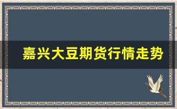 嘉兴大豆期货行情走势(大豆期货价格走势)_https://www.wanyuyiyao.com_北交所_第1张