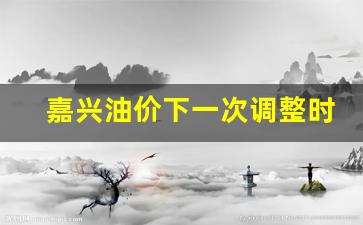 嘉兴油价下一次调整时间-嘉兴 油价