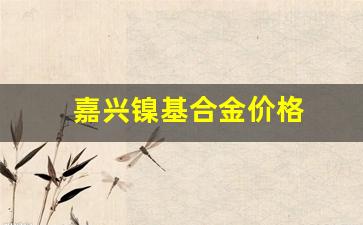 嘉兴镍基合金价格_镍基合金价格走势