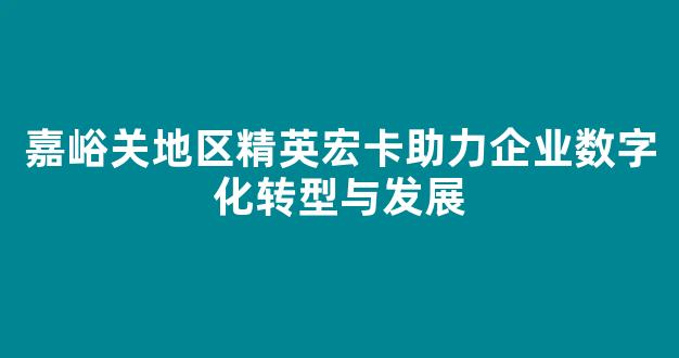 嘉峪关地区精英宏卡助力企业数字化转型与发展