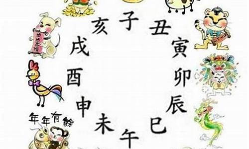 四十八岁属什么生肖属猪-四十八岁属啥