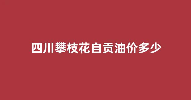 攀枝花95号油价_四川攀枝花自贡油价多少