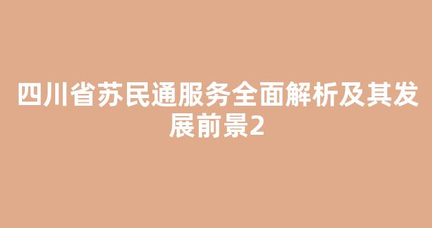 四川省苏民通服务全面解析及其发展前景