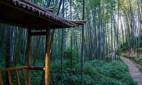 四川蜀南竹海天气预报_四川蜀南竹海天气预报7天