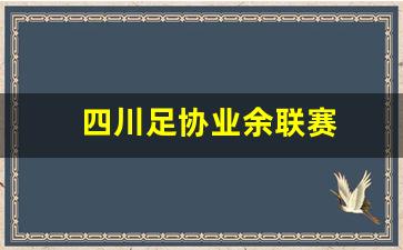 四川足协业余联赛-四川业余足球联赛