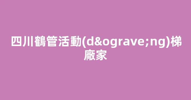 四川鶴管活動(dòng)梯廠家(1)