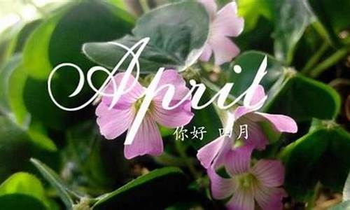 4月你好唯美句子_四月你好唯美句子简短