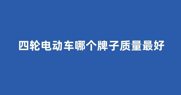 四轮电动车哪个牌子质量最好(金彭和雷丁哪个质量好)_https://www.hangfeite.com_北交所_第1张