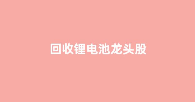 回收锂电池龙头股(锂电池回收行业龙头)_https://www.luoxuangg888.com_创业板_第1张