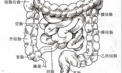 回肠面的回肠怎么做_回肠八面通什么生肖