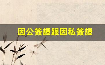 因公簽證跟因私簽證(因公簽證多久能辦下來)