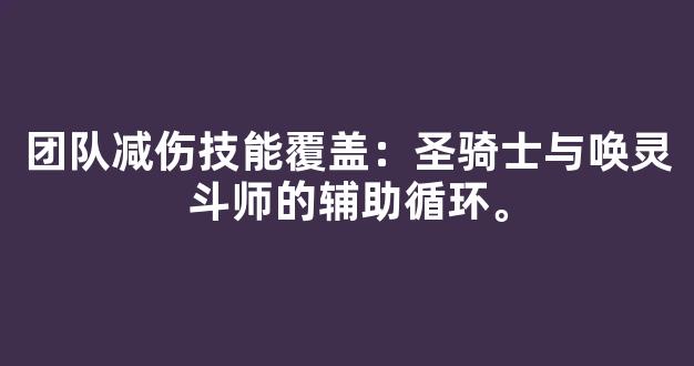 团队减伤技能覆盖：圣骑士与唤灵斗师的辅助循环。