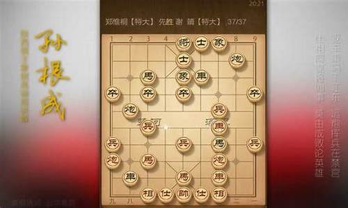 围棋甲级联赛对局费多少-围棋甲级联赛对局棋谱