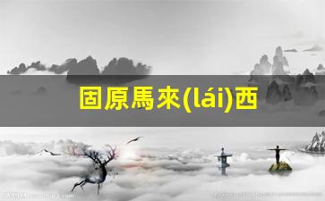 固原馬來(lái)西亞簽證辦理機(jī)構(gòu)(去馬來(lái)西亞簽證怎么辦理)