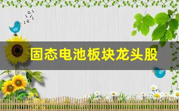 固态电池板块龙头股(固态电池龙头股排名)_https://www.fzdzcxj.com_上交所_第1张
