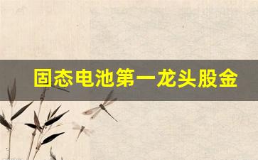 固态电池第一龙头股金龙羽(固态电池谁最领先)_https://www.hhem8.com_科创板_第1张
