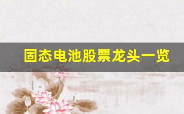 固态电池股票龙头一览(固态电池的股票有哪些)_https://www.fzdzcxj.com_创业板_第1张