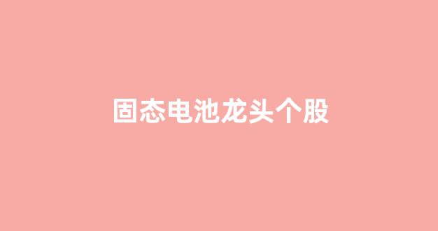 固态电池龙头个股(固态电池原材料供应龙头股票)_https://www.hn-life.com_北交所_第1张