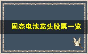 固态电池龙头股票一览表最新(固态电池股票排名前十名)_https://www.erdeww.com_期货_第1张