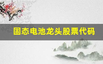 固态电池龙头股票代码(固态电池龙头股票代码查询)_https://www.dongshengweixin.com_科创板_第1张