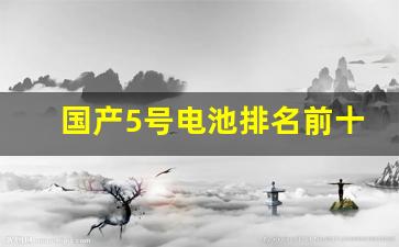国产5号电池排名前十名(国产5号充电电池哪个品牌好)_https://www.jumanxin.com_上交所_第1张