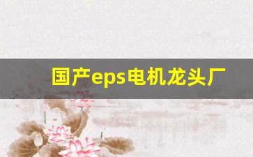国产eps电机龙头厂家(国产eps电机龙头厂家电话)_https://www.hangfeite.com_科创板_第1张