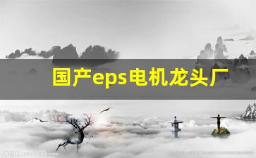 国产eps电机龙头厂家排名(国内eps电源品牌)_https://www.hhem8.com_创业板_第1张