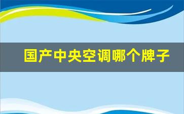 国产中央空调哪个牌子好用-国产中央空调哪个牌子好