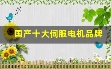 国产十大伺服电机品牌(国产伺服电机十大名牌排名)_https://www.gzyhshgzzx.com_大商所_第1张
