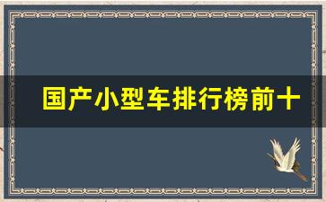 国产小型车排行榜前十名(国产小型车排行榜前十名有哪些)_https://www.eamstsz.com_深交所_第1张