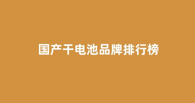 国产干电池品牌排行榜(干电池品牌排行榜前十名)_https://www.hn-life.com_深交所_第1张