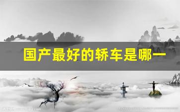国产最好的轿车是哪一款(国产最好的电吹管)_https://www.hn-life.com_北交所_第1张