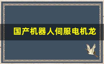 国产机器人伺服电机龙头股票(机器人伺服电机的工作原理)_https://www.gen-fastener.com_广期所_第1张