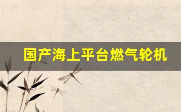 国产海上平台燃气轮机投用(海上lng装备)_https://www.gfdzclz.com_上交所_第1张