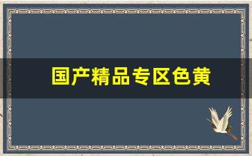 欧美一区二区三区久久综：国产精品专区色黄
