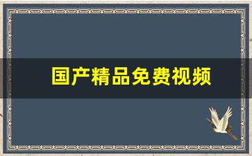 精品欧美一区二区三区精品久久：国产精品免