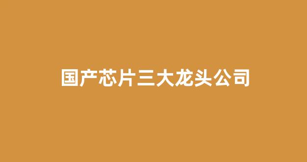国产芯片三大龙头公司(国产芯片三大龙头公司丁小兵)_https://www.eamstsz.com_上交所_第1张