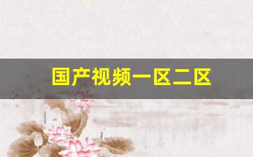 国产视频一区二区(星空视频影视大全免费观
