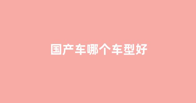 国产车哪个车型好(国产车买哪个品牌比较好)_https://www.lclxwz.com_郑商所_第1张