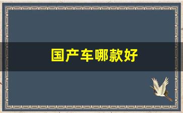 国产车哪款好(国产什么车质量最好)_https://www.hangfeite.com_上交所_第1张