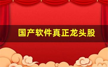 国产软件真正龙头股(国产软件潜力股)_https://www.syklpowerbike.com_创业板_第1张