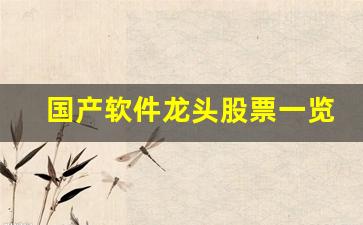 国产软件龙头股票一览(国产软件龙头上市公司)_https://www.fzdzcxj.com_上交所_第1张