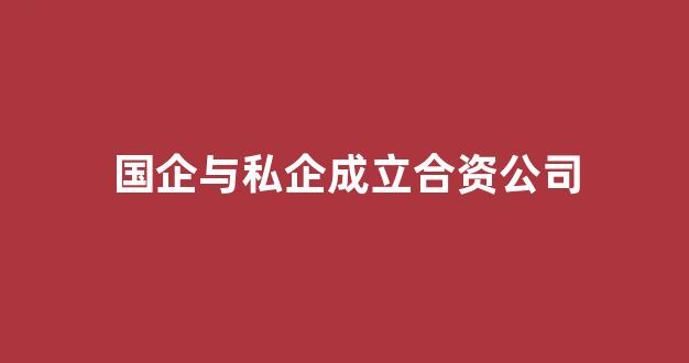 国企与私企成立合资公司(国企与私企成立合资公司失败案例)_https://www.qgjzrcxxzxpt.com_上期所_第1张