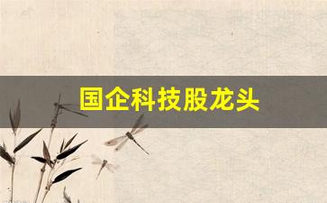 国企科技股龙头(国企科技股龙头估值低的股票)_https://www.jumanxin.com_创业板_第1张