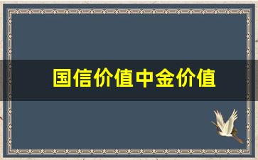国信价值中金价值什么意思_国信价值中金价值